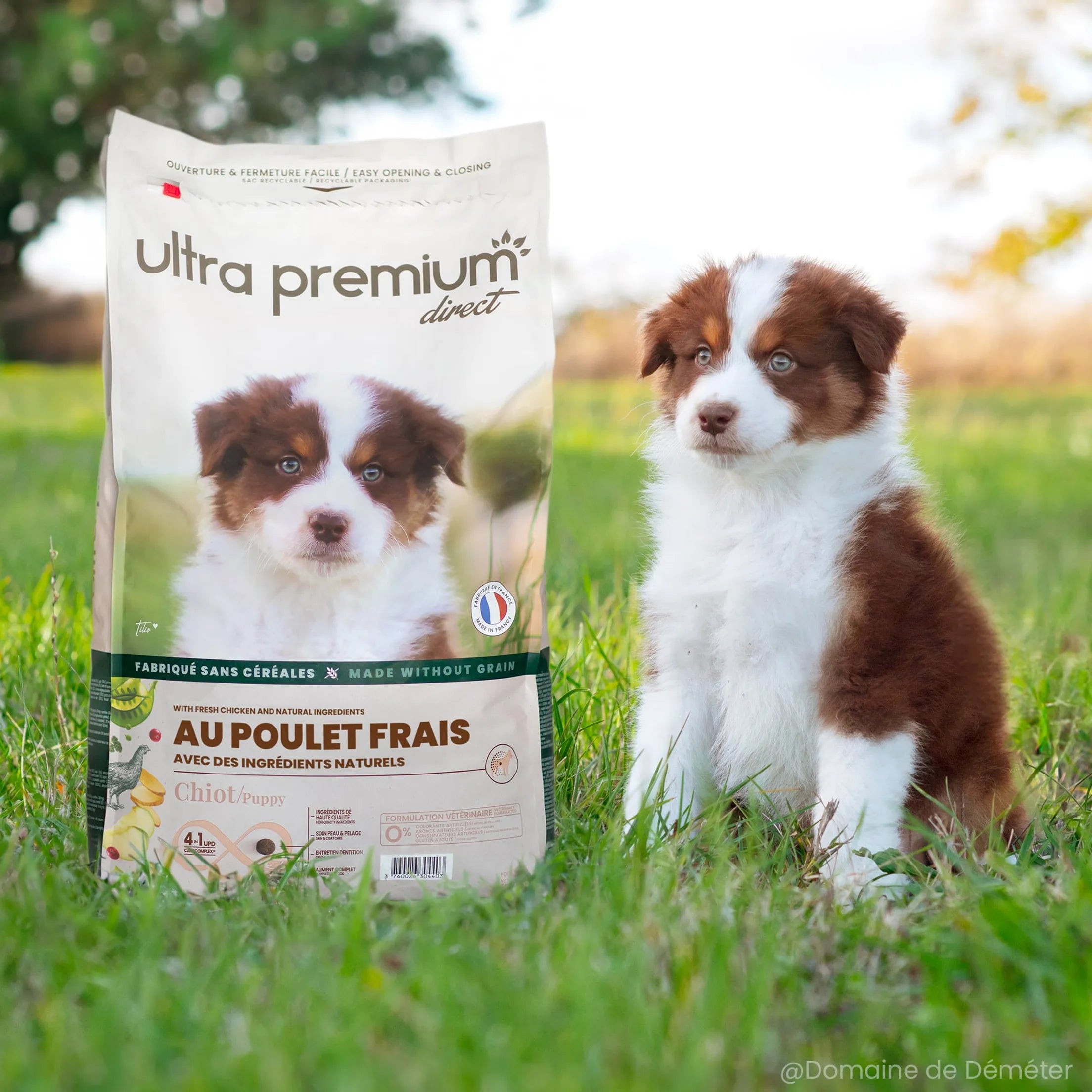 Ultra Premium Direct Aliment Sec Chien Sans Céréales au Poulet frais pour Chiot toutes tailles