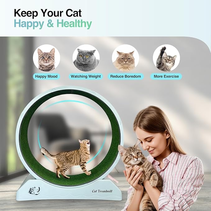 Jouet pour Chat Roue d’exercice PAWISE