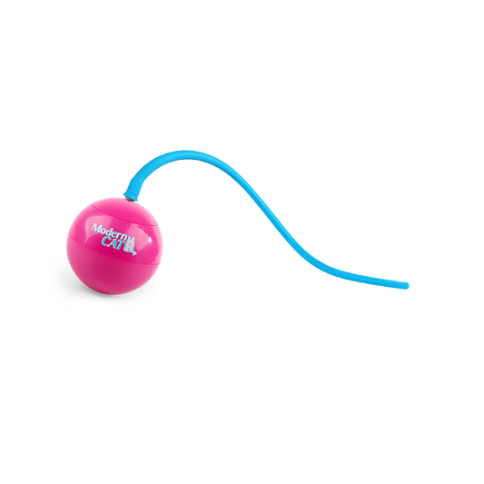 AFP Jouet pour Chat Whirlling tailBalle interactive