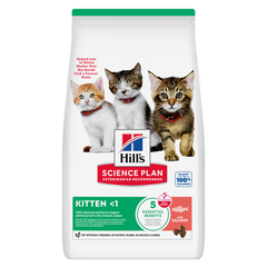 HILL'S SCIENCE PLAN Aliment Sec pour Chat (Kitten) Saumon 1,5 Kg