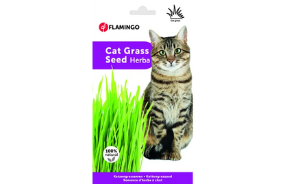 CATNIP