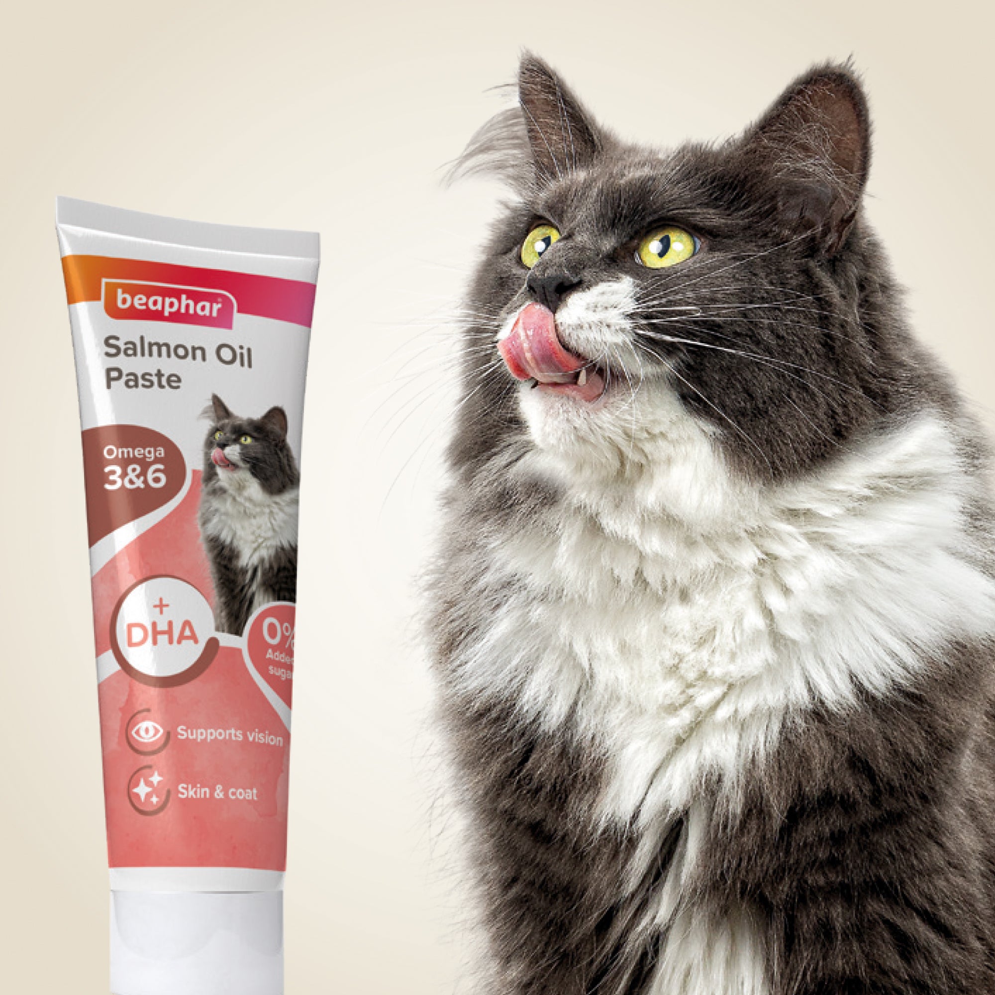 Pâte au saumon Supplément pour Chat spécial beauté du pelage 100 g