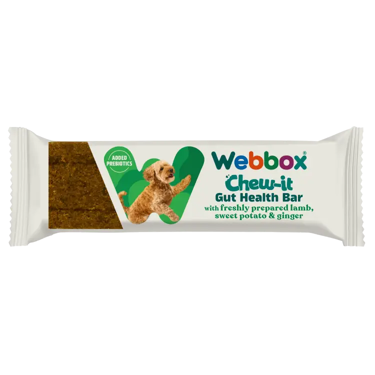 Webbox Chew-It Gut Health Bar Lamb Dog Treat 30g