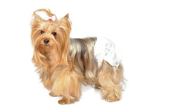 Camon Couches jetables pour chiens