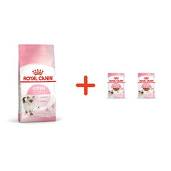 Royal Canin Aliment Sec pour Chat Kitten 2 Kg + 2 Pochons 85G Offerts