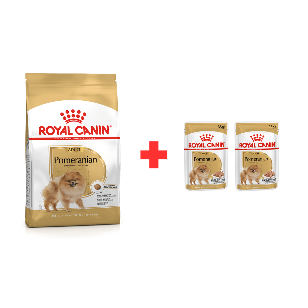 Royal Canin Spitz Nain Adult + 2 Pochons Offerts