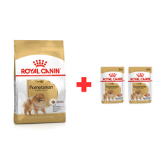 Royal Canin Aliment Sec Chien Spitz Nain Adult + 1 Pochons Offerts