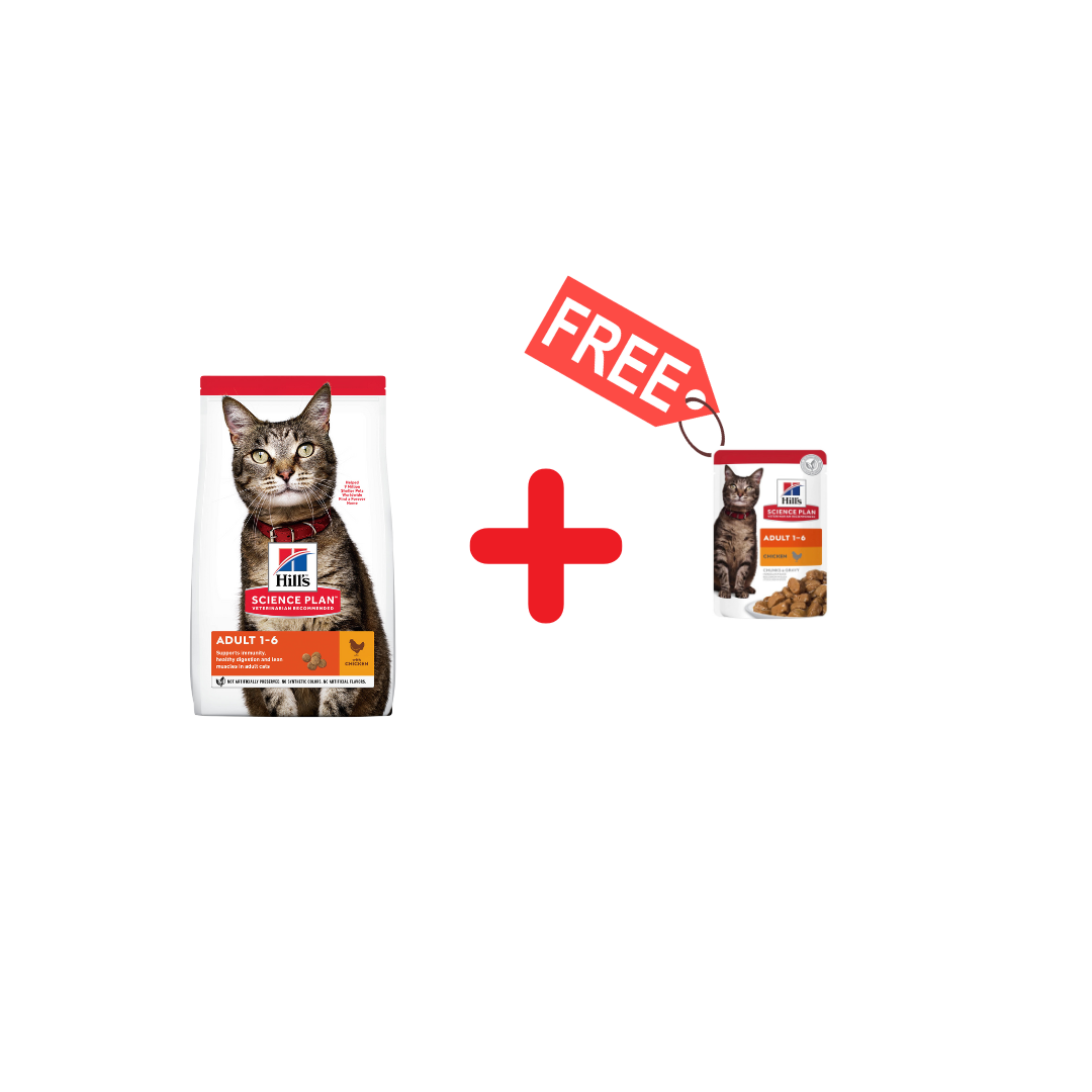 HILL'S SCIENCE PLAN Adult Cat Chicken 