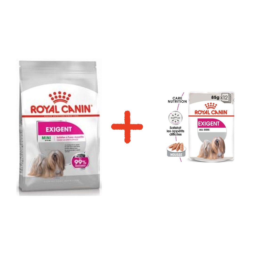 Mini exigent 3 Kg + 2 Pochons 85 G Offerts