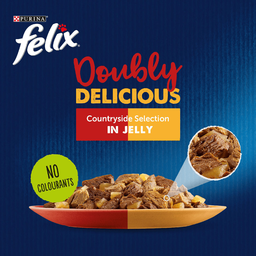Felix doubly delicious cat food clearance