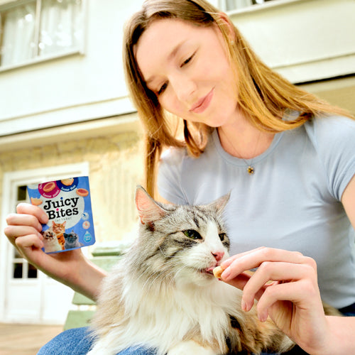 JUICY BITES Saveurs de poisson et de palourdes (11,3gx3)