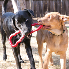 Jouet pour Chien KONG TUG TOY