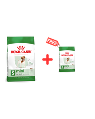 Royal Canin Aliment Sec Chien Mini Adult 8 Kg + 2 Kg Offert