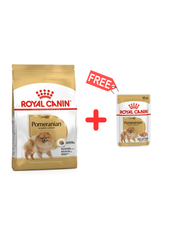 Royal Canin Aliment Sec Chien Spitz Nain Adult + 1 Pochons Offerts