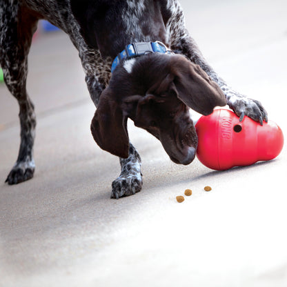 Jouet pour Chien Kong WOBBLER