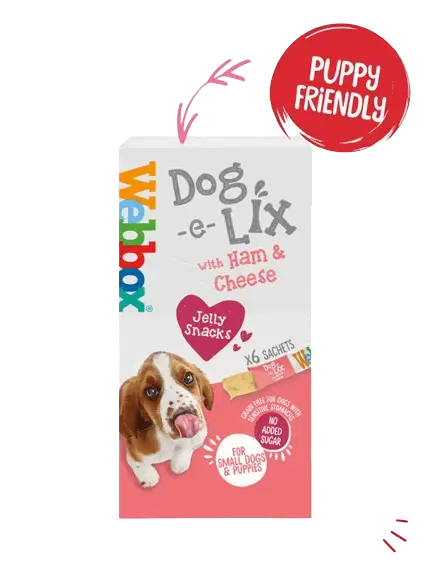 Webbox Dog e Lix with Ham & Cheese Creamy Dog Treats 90g (6PCS)
