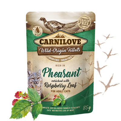 Carnilove Sauce Riche en Faisan enrichi en Feuilles de Framboisier 85 G