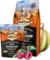 Carnilove Aliment Sec Chien Autruche et agneau frais pour chiens adultes de petite race