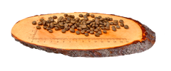 Carnilove Aliment Sec Chien Autruche et agneau frais pour chiens adultes de petite race