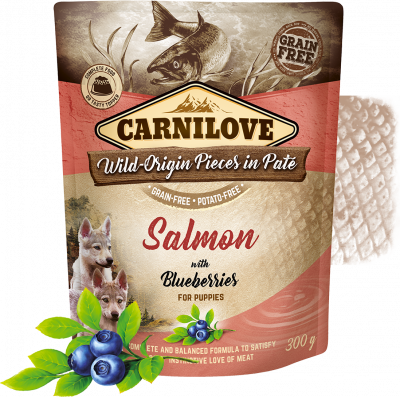 Carnilove pâté Saumon aux Myrtilles pour chiots 300 G