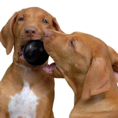 Jouet Pour Chien Balle KONG Extreme M/L