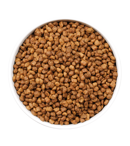 OWNAT Aliment Sec pour Chat ULTRA KITTEN 3 Kg