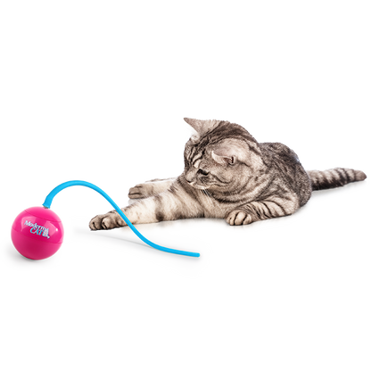 AFP Jouet pour Chat Whirlling tailBalle interactive
