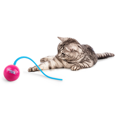 AFP Jouet pour Chat Whirlling tailBalle interactive