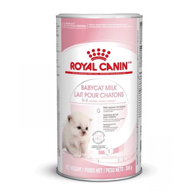 Babycat milk Royal Canin 300 G