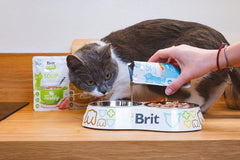 Brit Care Aliment Humide Chat Soupe au saumon pour chats 75 g
