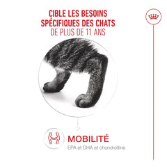 Royal Canin Aliment Sec pour Chat Ageing 11+ 2 Kg