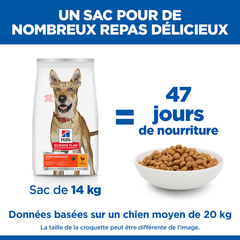 Hill's SCIENCE PLAN Aliment Sec Chien Performance 14 Kg