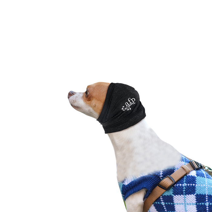 Soft Snoods/ Sweat à capuche pour chien