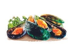 Canvit BARF Moule à lèvres vertes Supplément pour Chien et Chat 180 g