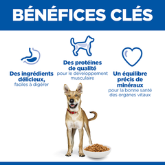 Hill's SCIENCE PLAN Aliment Sec Chien Performance 14 Kg