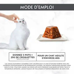 GOURMET® REVELATIONS® au Saumon Aliment Humide Chat - Bouchées en gelée (4x57g)