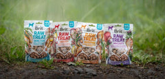 Brit RAW TREAT Digestion. Freeze-dried treat and topper. Chicken 40 g