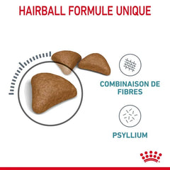 Royal Aliment Sec pour Chat Canin Hairball Care 2 Kg