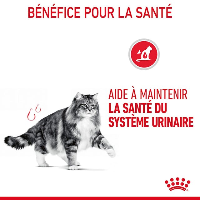 Royal Canin Urinary Care en sauce 85 G