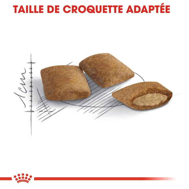 Royal Canin Aliment Sec pour Chat Ageing 12+ 2 Kg
