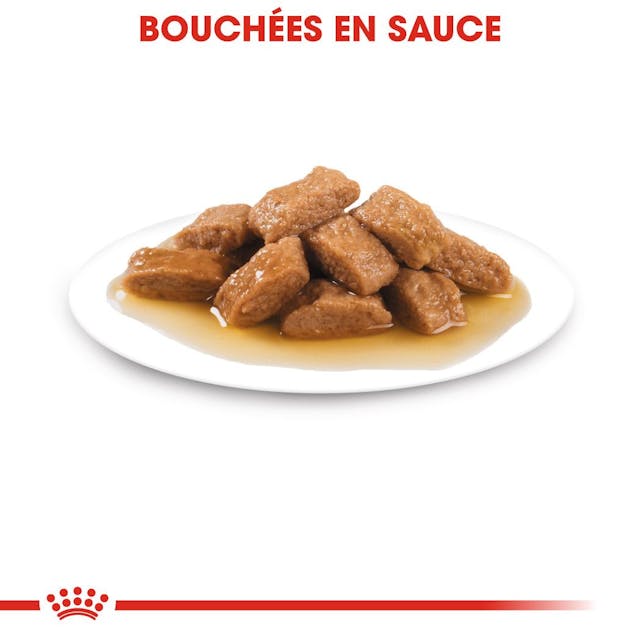 Royal Canin Medium Adult en sauce 140g