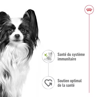 Royal Canin X-Small Aliment Humide Chien Adult en sauce 85G