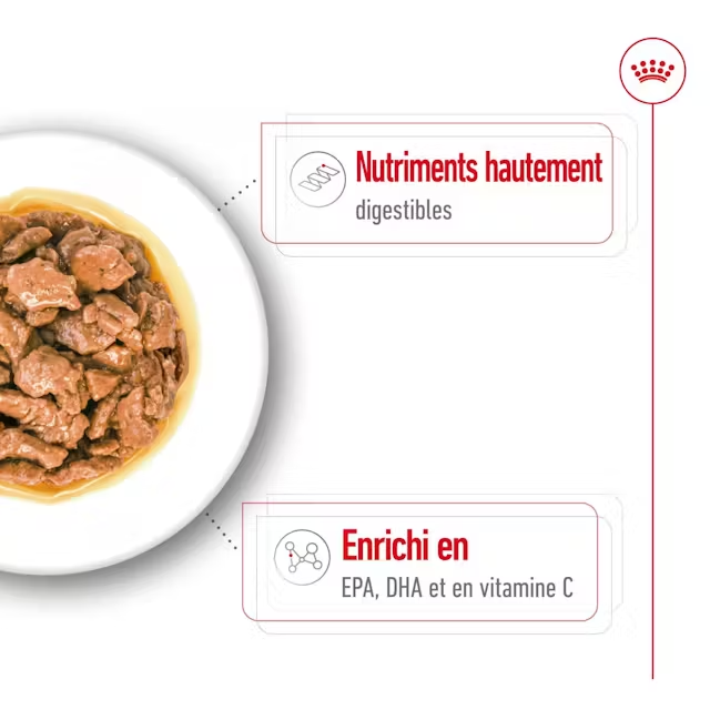 Royal Canin X-Small Aliment Humide Chien Adult en sauce 85G