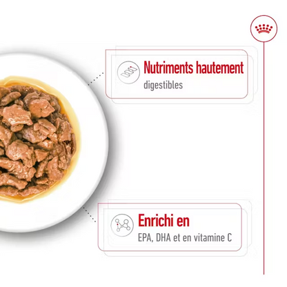 Royal Canin X-Small Aliment Humide Chien Adult en sauce 85G