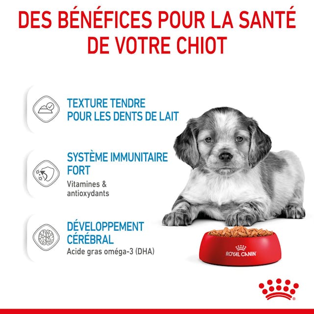 Royal Canin Medium Puppy Sauce - Sachet fraîcheur pour chiot 140g