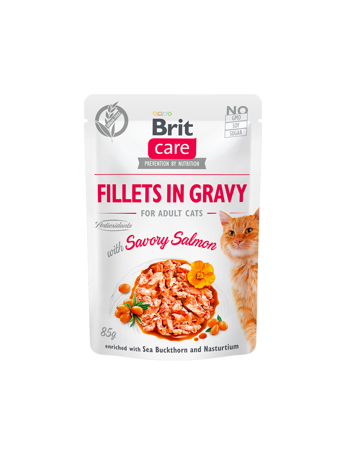 Brit Care Cat Pouch SAVORY SALMON 85 G