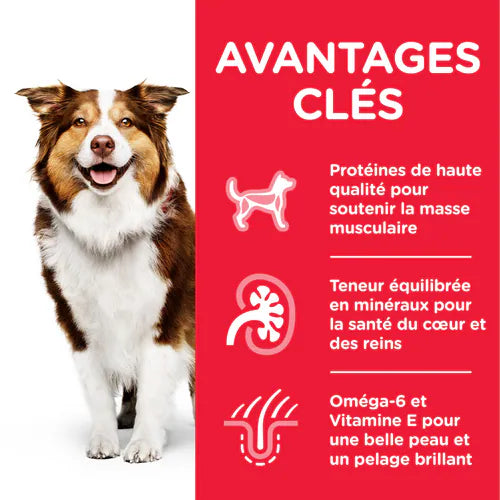 Hill&#39;s SCIENCE PLAN Chien Adulte Mature 7+ Medium au Poulet 14 Kg