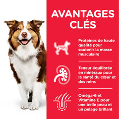 Hill's SCIENCE PLAN Aliment Sec Chien Adulte Mature 7+ Medium au Poulet 14 Kg