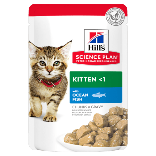 HILL&#39;S SCIENCE PLAN Chaton  Sauce au Poisson de Mer - sachet repas 85G