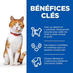 HILL'S SCIENCE PLAN Aliment Sec pour Chat Sterilised Adult Saumon
